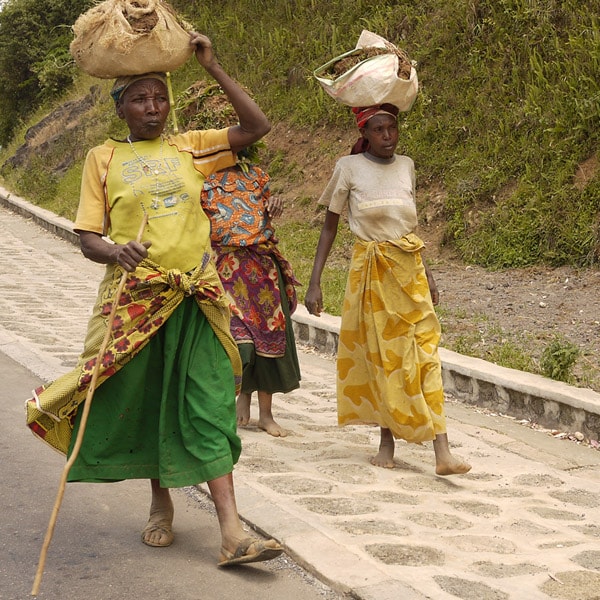 tanzania inspiration women colorful wraps for kravet products in the j banks collection designed by joni vanderslice